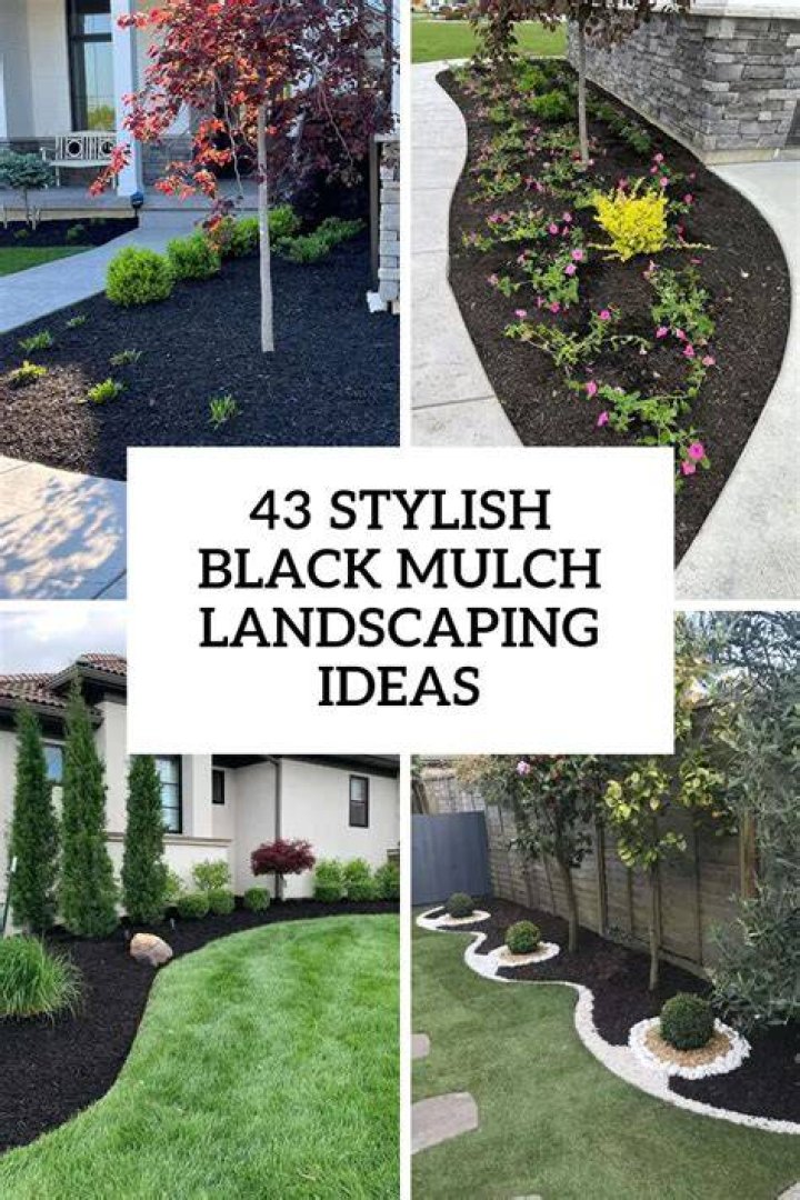 Effective Alternatives To Mulch For A Thriving Garden