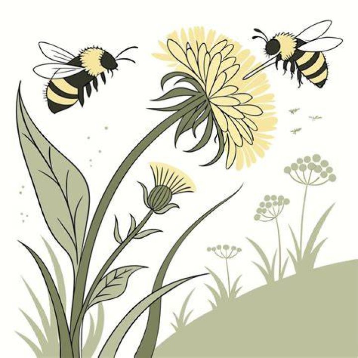 Essential Pollinator Clip Art For Your Nature Projects