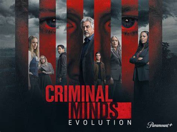 Matthew's Dynamic Role In Criminal Minds: Exploring His Impact