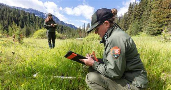 Meet Barbara Groom: Trailblazing Ecologist And Conservation Advocate