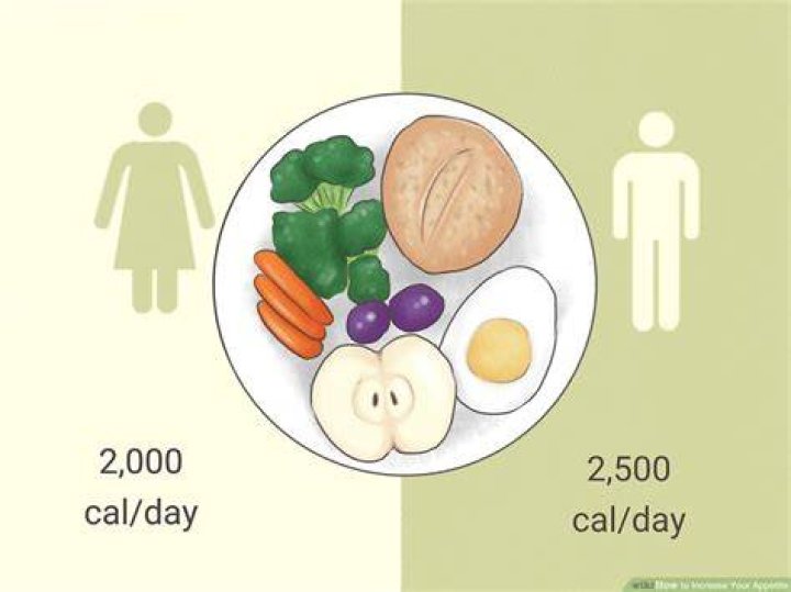 Re-ignite Your Appetite: The Ultimate Guide To Eating Again Post-Recovery