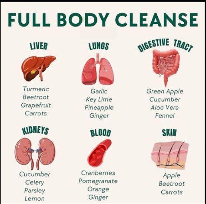 Top-Rated & Affordable Rogers Hood Detox: Cleanse Your Body Today!