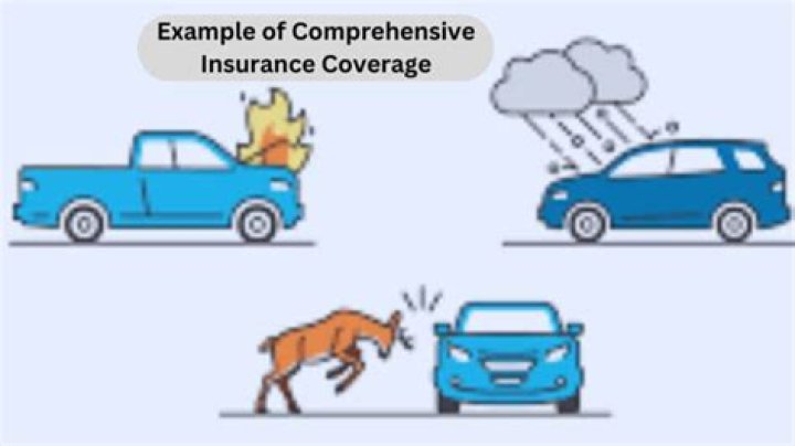 Trusted Coverage Professors For Comprehensive Insurance Protection